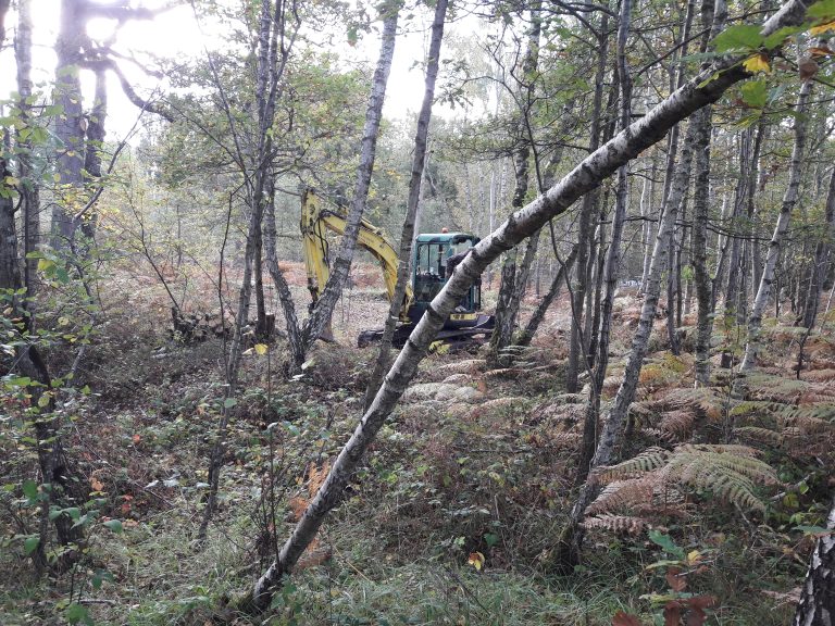 Matinées de nettoyage janvier 2019