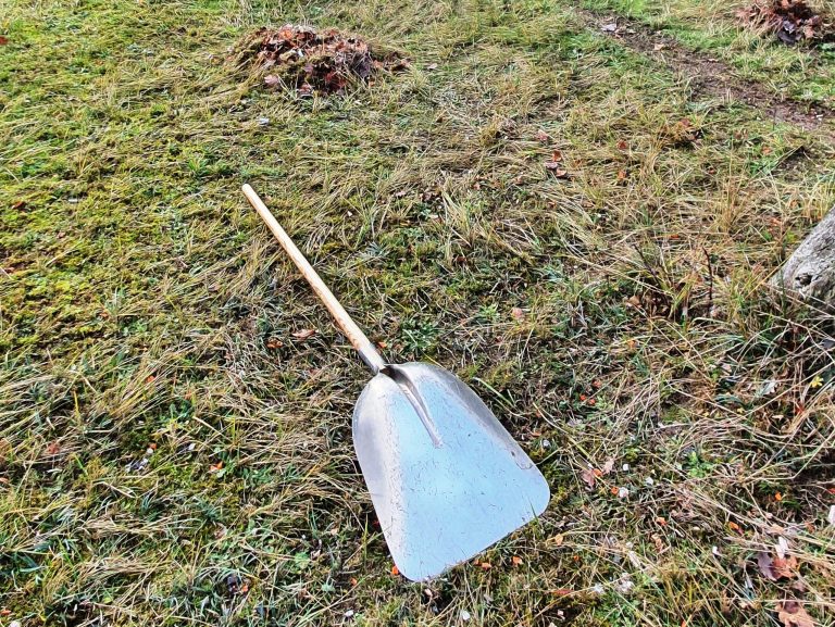 Fermeture Annuelle 2025 – 2026  & Journée nettoyage