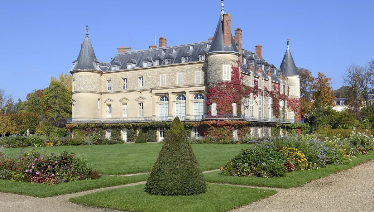 Sunlit view of green trees in a forest looking upwards, captured in daylight.