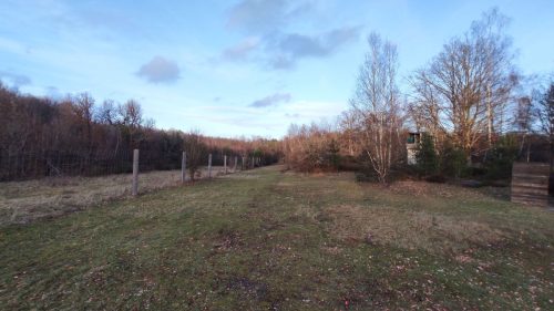 IMG 20230115 164820a