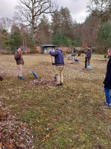 IMG 20260129 171536-1