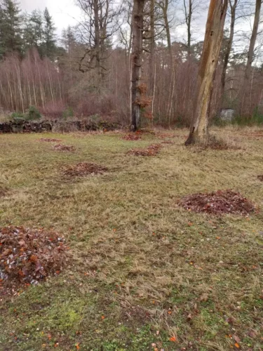 IMG 20260129 171536-2