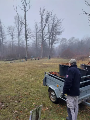 IMG 20260129 171536-3