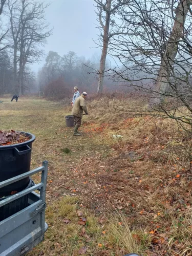 IMG 20260129 171536-4